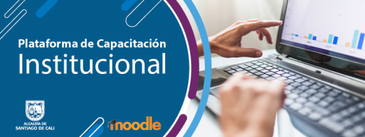 Plataforma de Capacitación Institucional